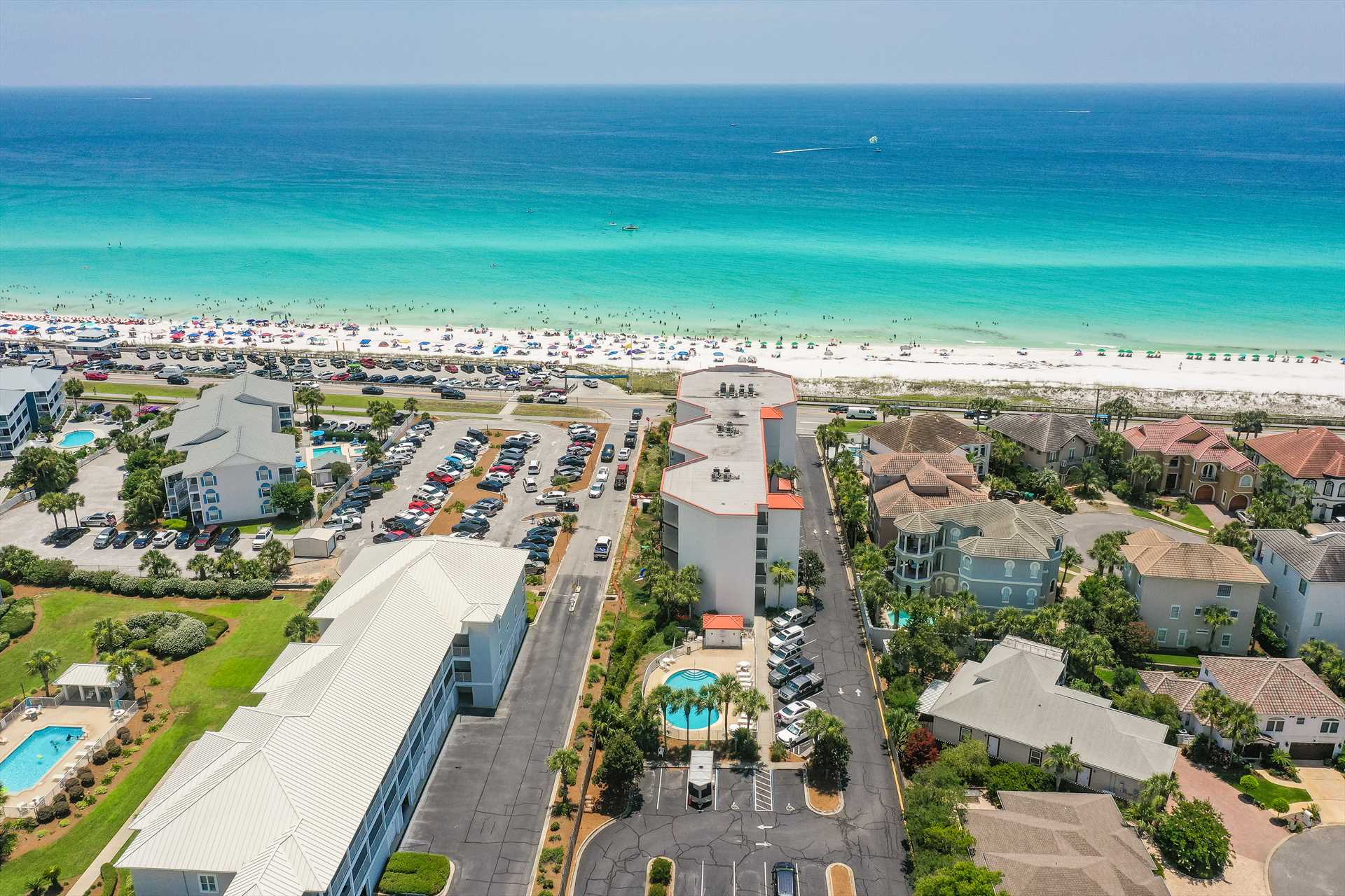 pet friendly places at the beach