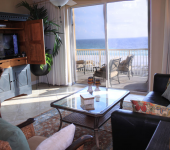 Our Pet Friendly Condos in Destin FL