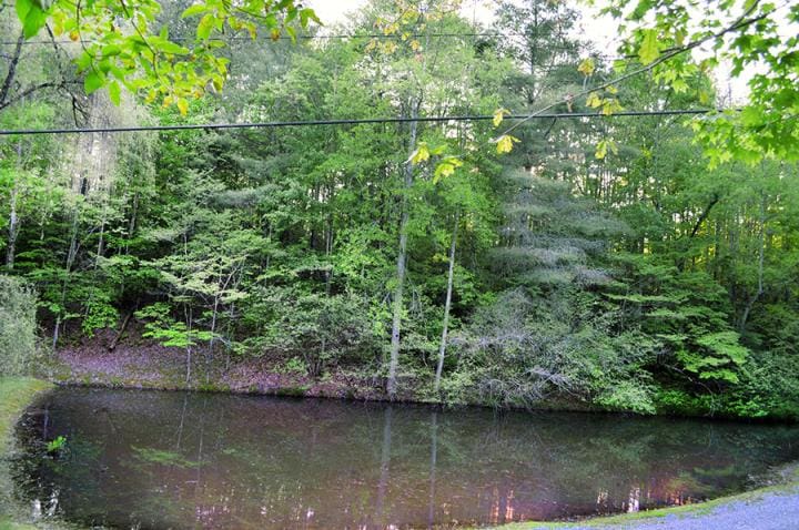 049 | Beach Condos in Destin #