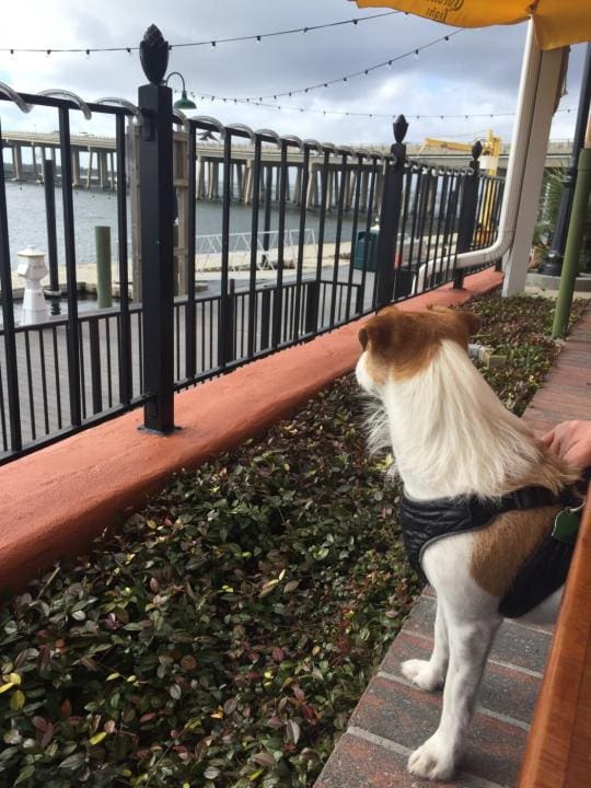 38DC9C1D- | Beach Condos in Destin #