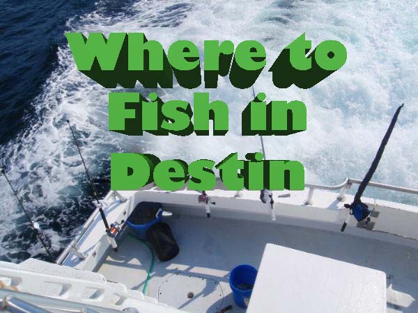 Fishing in Destin #where to go fishing in destin