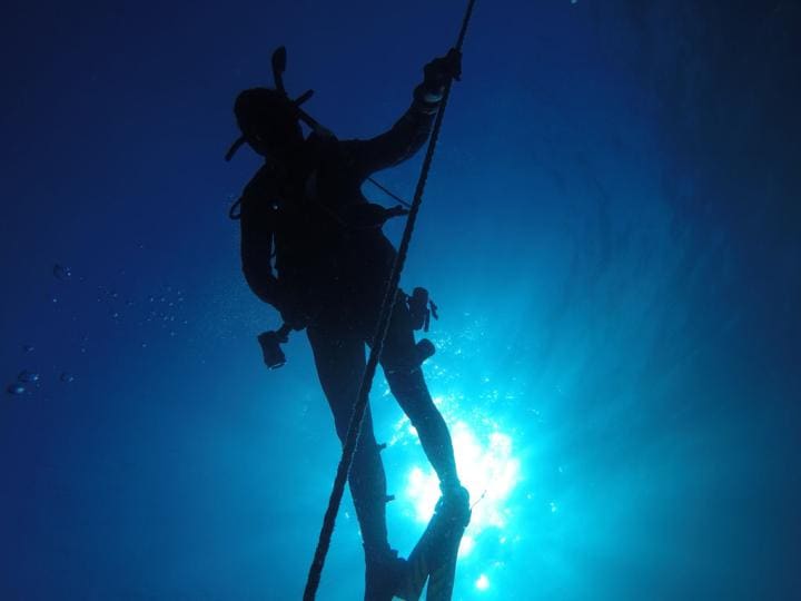 Scuba Diving in Destin | Beach Condos in Destin #