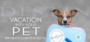 Vacation with your pet with Beach Condos in Destin