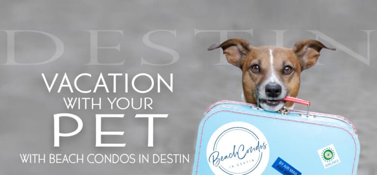 Looking to vacation with your pet in Destin, FL?