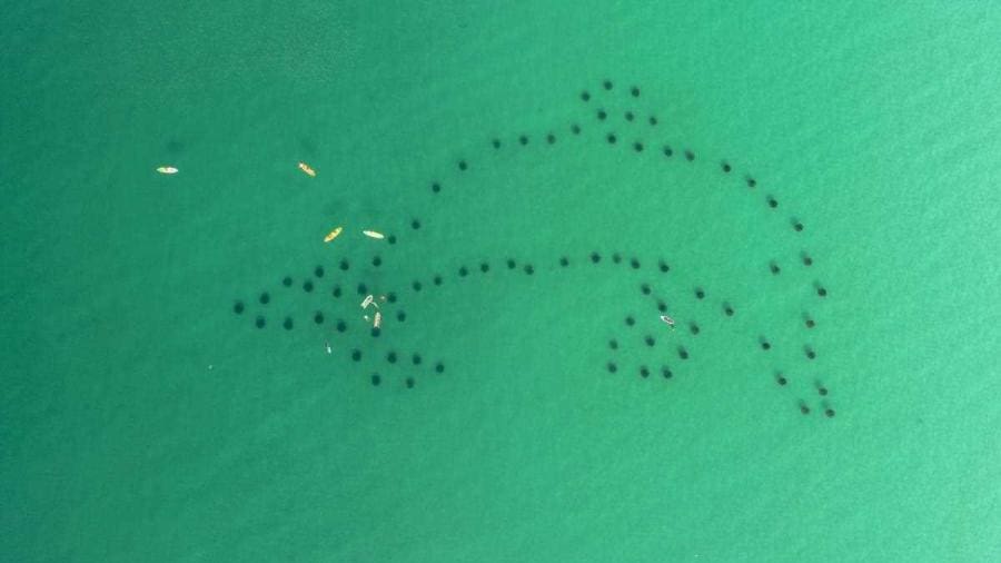 diving in destin 1 | Beach Condos in Destin Beach Retreat Vacation Rentals | Beach Condos in Destin #