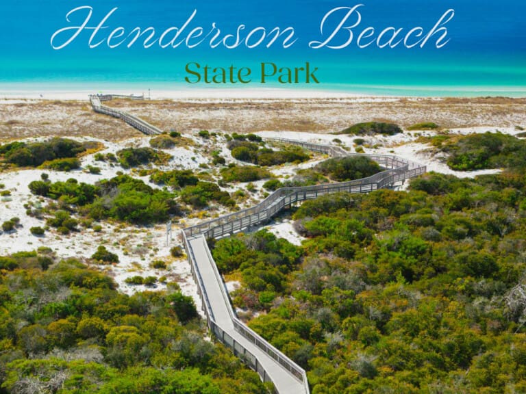 Henderson Beach State Park