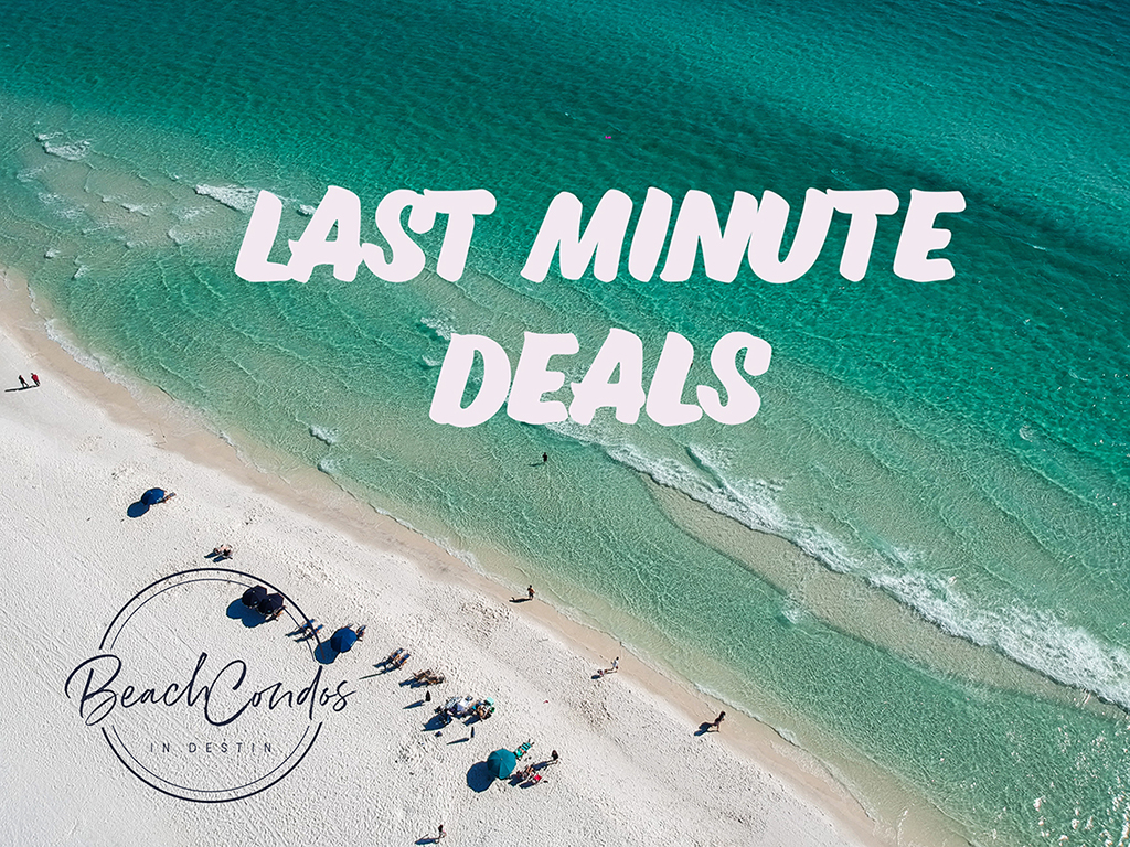 last minute booking deals