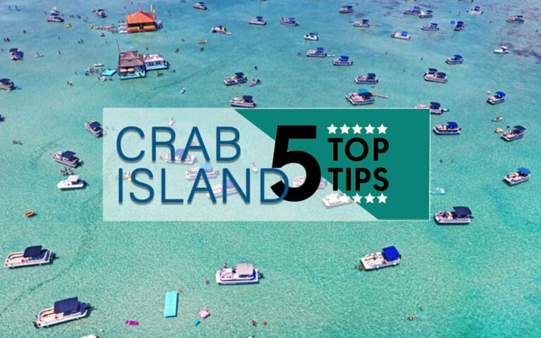 5 Main Tips for a Crab Island Day