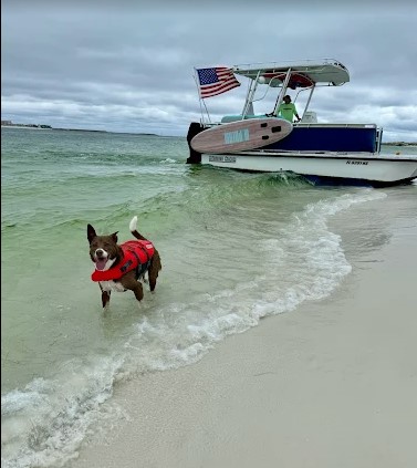 Screenshot 2025-08-12 105119 | Beach Condos in Destin Destin Pontoon Charters | Beach Condos in Destin #