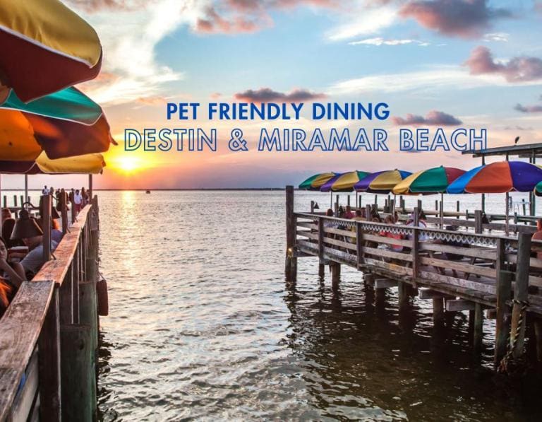 Dogs Welcome Destin