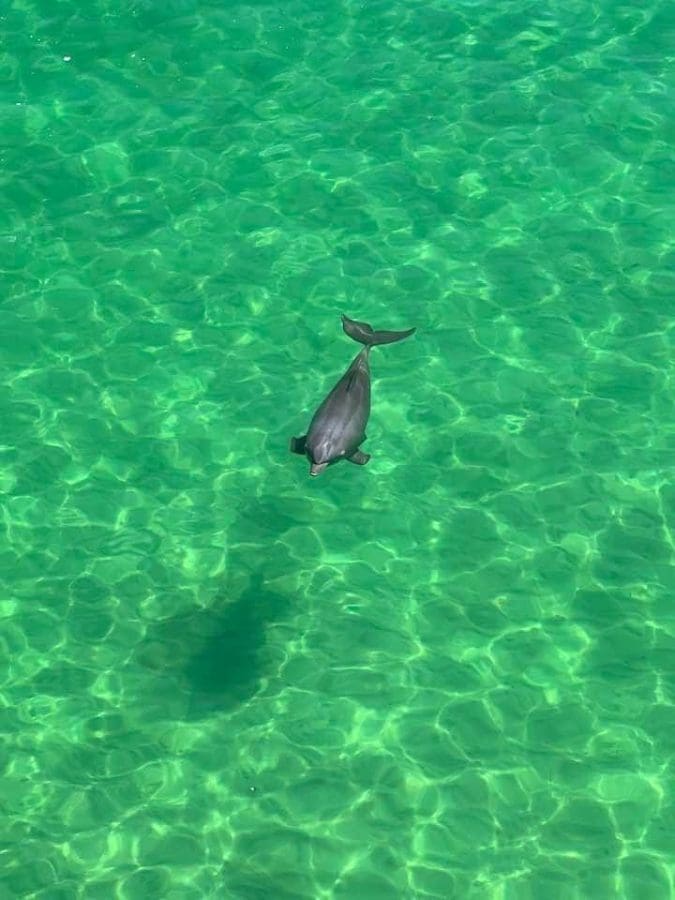 unnamed | Beach Condos in Destin Destin Pontoon Charters | Beach Condos in Destin #