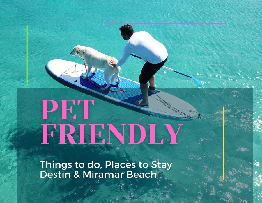 Pet Friendly Miramar Beach and Destin - vacation rental Destin