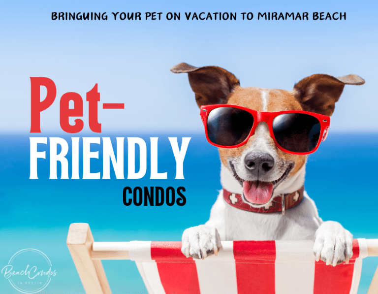 Blue red fresh funny Hello Summer Instagram post 900 x 700 px 1 | Beach Condos in Destin Pet-Friendly Destin Vacation | Beach Condos in Destin #