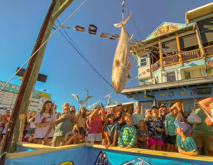 Destin-fishing-rodeo | Beach Condos in Destin #