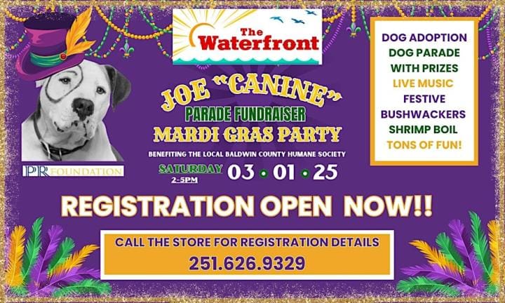 Harbor walk village Mardi Gras 2025 | Beach Condos in Destin #