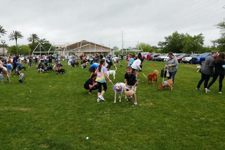 37926_36287 | Beach Condos in Destin #