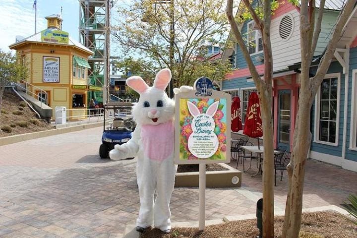 54117_119578509 | Beach Condos in Destin #