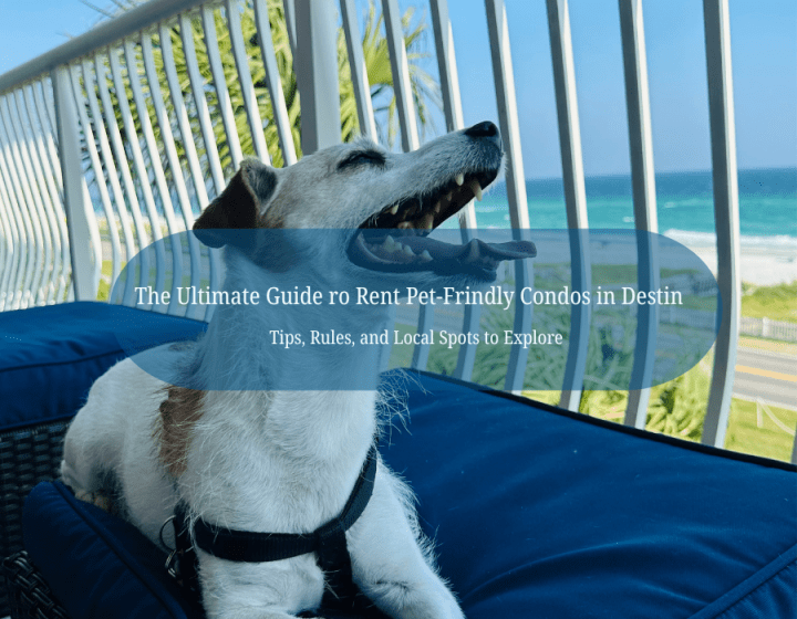 Your paragraph text | Beach Condos in Destin #