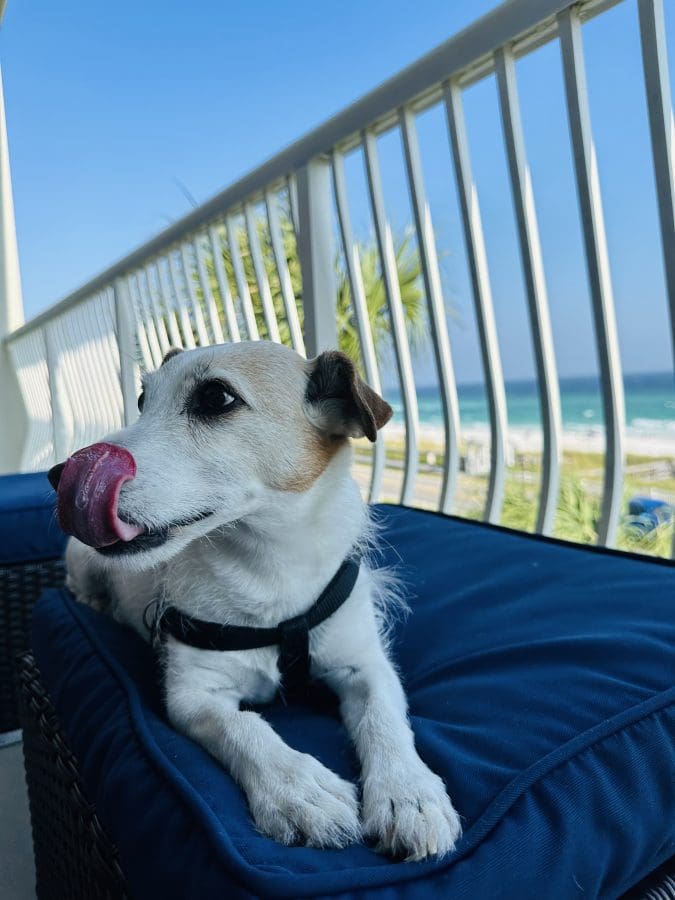IMG_5228 002 | Beach Condos in Destin Which Destin Condo Matches Your Vacation Personality? | Beach Condos in Destin #
