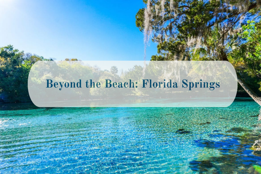 Beach Condos in Destin FL | Vacation Rentals Online #Banner with the title “Beyond the Beach: Florida Springs” over a turquoise spring and green trees.